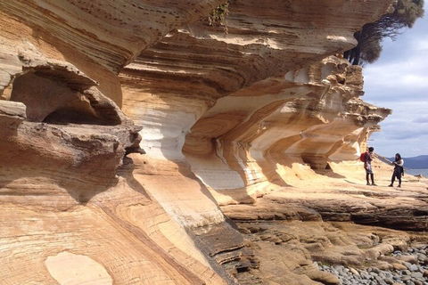 Hobart Minibus Full-Day Private Tour - New South Wales Tourism  0
