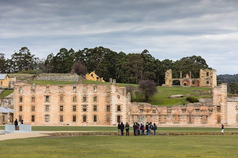 Hobart Minibus Full-Day Private Tour - New South Wales Tourism  1