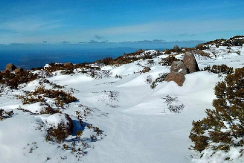 Mt Wellington Ultimate Experience Tour From Hobart - New South Wales Tourism  4