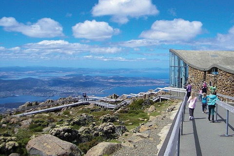 Mt Wellington Tour And MONA Admission - New South Wales Tourism  1
