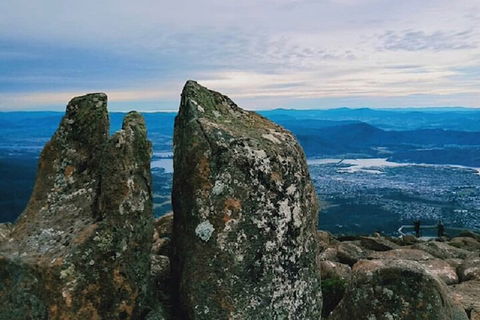 Mt Wellington Tour And MONA Admission - New South Wales Tourism  2
