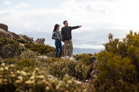 Mt Wellington Tour And MONA Admission - New South Wales Tourism  5