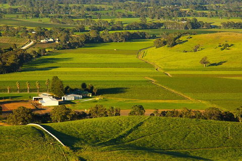 Full-Day Wine World Tour In Barossa - New South Wales Tourism  2