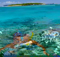 Green Island Day Trip Including Seawalker Helmet Dive COMBO - New South Wales Tourism 