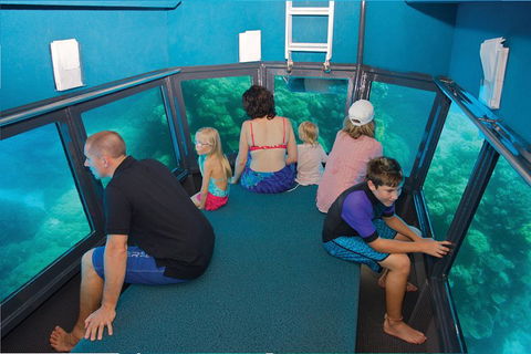 Great Barrier Reef Adventure From Cairns - New South Wales Tourism  1