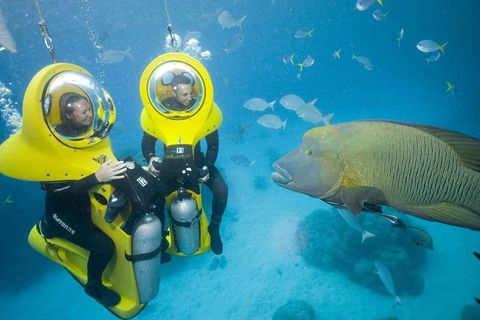 Great Barrier Reef Adventure From Cairns - New South Wales Tourism  2