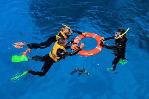 Great Barrier Reef Adventure From Cairns - New South Wales Tourism  3