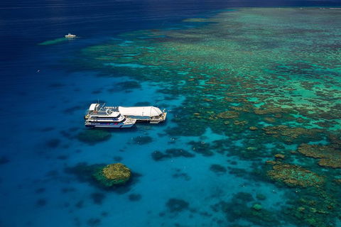 Great Barrier Reef Adventure From Cairns - New South Wales Tourism  4