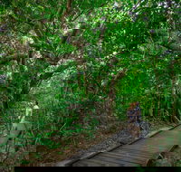 Green Island Eco Adventure from Cairns - New South Wales Tourism 