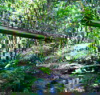 Double Pack-Ancient Rainforest and Waterfalls - New South Wales Tourism 