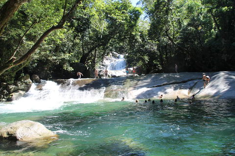 Double Pack-Ancient Rainforest And Waterfalls! - New South Wales Tourism  2