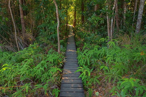 One Day Litchfield Park Adventures - New South Wales Tourism  4