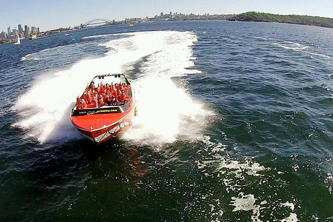 Sydney Harbour Jet Boat Thrill Ride: 30 Minutes - New South Wales Tourism  0