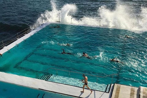 Sydney Private Tour And Sip And Sail Experience - New South Wales Tourism  3