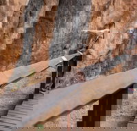 Chillagoe Caves and Outback Day Trip from Cairns - New South Wales Tourism 