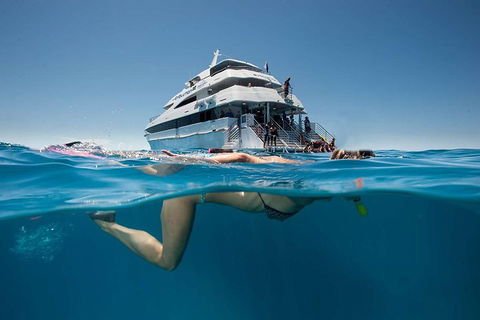 3 Day Great Barrier Reef, Daintree Rainforest And Outback Chillagoe Tour - New South Wales Tourism  0
