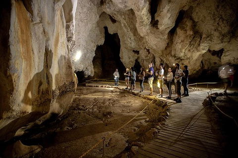 3 Day Great Barrier Reef, Daintree Rainforest And Outback Chillagoe Tour - New South Wales Tourism  1