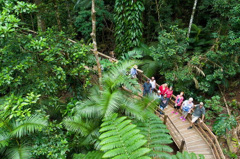 3 Day Great Barrier Reef, Daintree Rainforest And Outback Chillagoe Tour - New South Wales Tourism  2