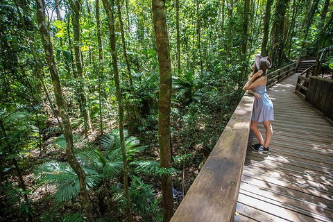 3 Day Great Barrier Reef, Daintree Rainforest And Outback Chillagoe Tour - New South Wales Tourism  3