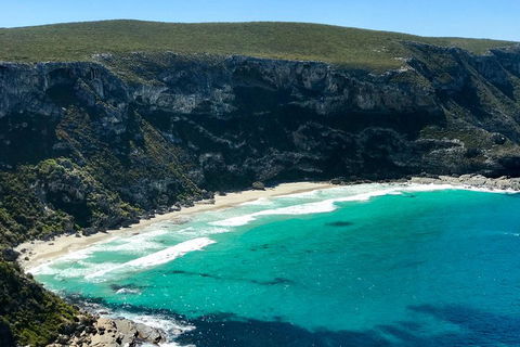 Kangaroo Island Scenic Trail Tour - New South Wales Tourism  4
