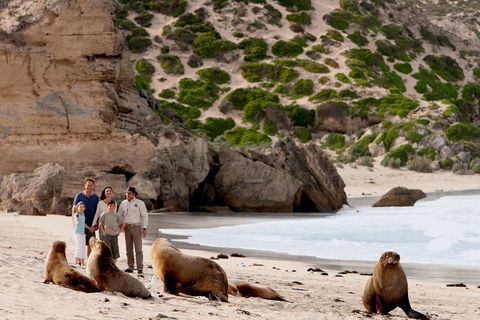 Kangaroo Island Scenic Trail Tour - New South Wales Tourism  5