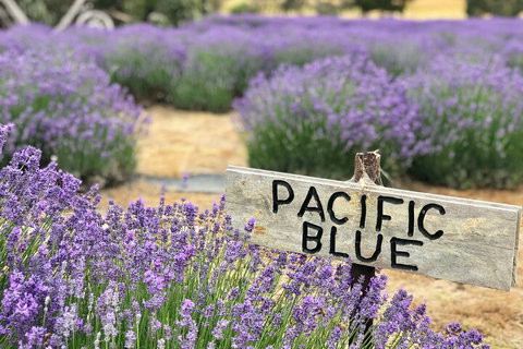 Kangaroo Island Half Day Food And Wine Trail Tour - New South Wales Tourism  5