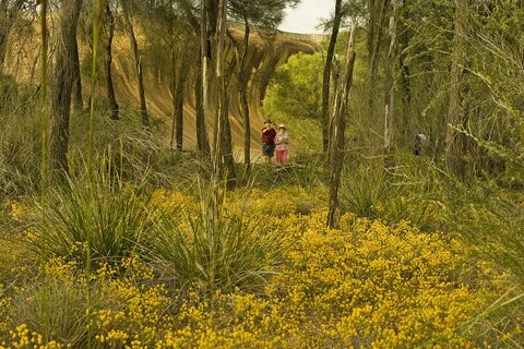 2-Day Wave Rock, York, Wildflowers & Aboriginal Experience - New South Wales Tourism  2