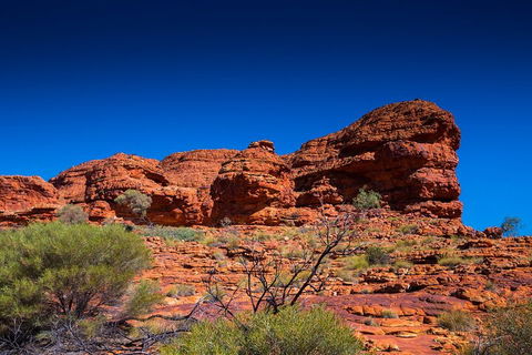 7-Day Guided Tour Of Alice Springs With Accommodation Included - New South Wales Tourism  4