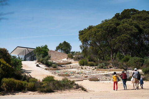 2-Hour Koala Walking Tour In Kangaroo Island - New South Wales Tourism  3