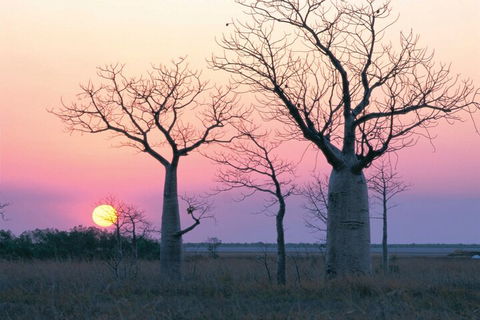 8-Day Outback Experience From Queensland - New South Wales Tourism  5