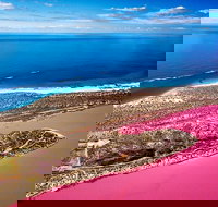 Pink Lake Small-Group Buggy Tour - New South Wales Tourism 