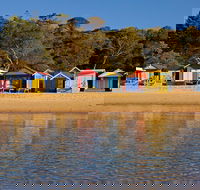 Mornington Peninsula Small Group day tour