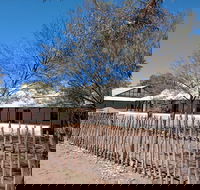 Private Cultural and Historical Painted Desert Tour in Hermannsburg - New South Wales Tourism 
