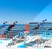 Calypso Outer Great Barrier Reef Cruise from Port Douglas - New South Wales Tourism 