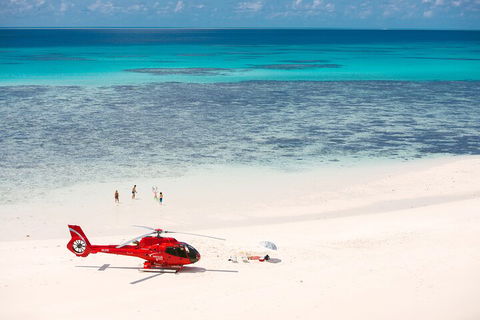 Private Helicopter Tour: Reef Island Snorkeling And Gourmet Picnic Lunch - New South Wales Tourism  2