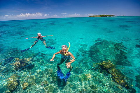 Fly To Green Island - Cruise Return - New South Wales Tourism  4