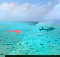 Port Douglas Scenic Flights - New South Wales Tourism 