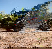 License to Thrill 1.5 Hour Off-road Tour in Darwin 1 person 2 seater vehicle - New South Wales Tourism 