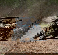 Octopussy 1.5 hour off-road tour in Darwin 1 person in 2 seater - New South Wales Tourism 