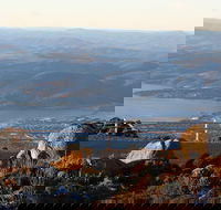 Mt. Wellington Bonorong and Richmond Day Tour from Hobart - New South Wales Tourism 