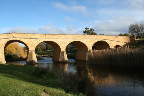 Mt. Wellington, Bonorong And Richmond Day Tour From Hobart - New South Wales Tourism  4