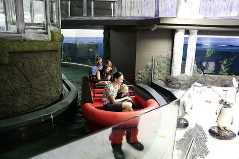 Sydney Attractions Pass: SEA LIFE Aquarium, Sydney Tower Eye, WILD LIFE Zoo And Madame Tussauds - New South Wales Tourism  0