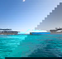 Rottnest Island All-Inclusive Grand Island Tour from Fremantle - New South Wales Tourism 