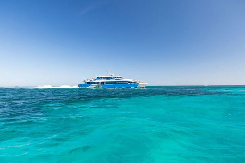 Rottnest Island Bike, Snorkel & Ferry Package From Perth - New South Wales Tourism  1