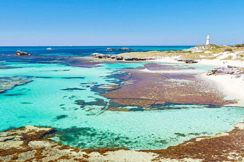 Rottnest Island Bike, Snorkel & Ferry Package From Perth - New South Wales Tourism  5