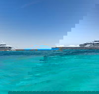 Rottnest Island Bayseeker Day Trip from Perth - New South Wales Tourism 