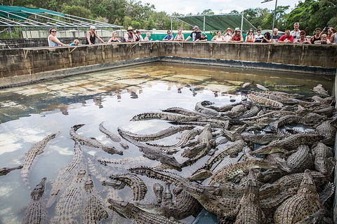 Hartley's Crocodile Adventures Day Trip From Palm Cove - New South Wales Tourism  0