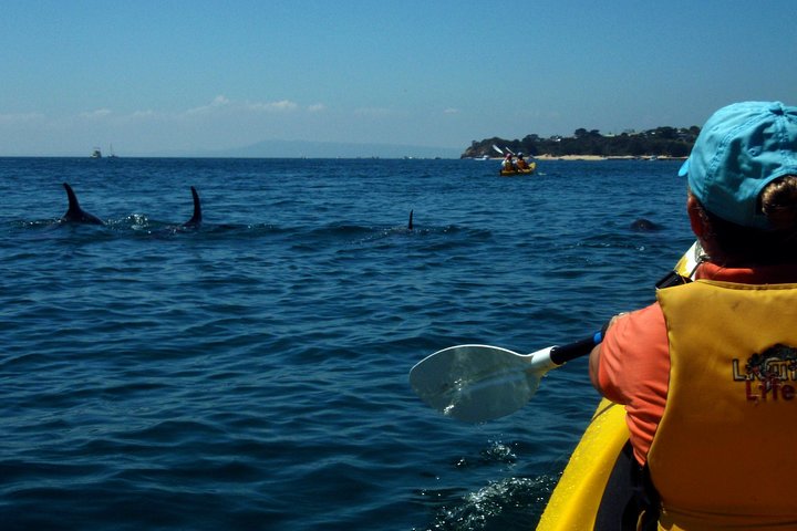  New South Wales Tourism 