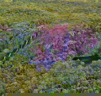 Litchfield Park  Daly River - Scenic Flight From Darwin - New South Wales Tourism 