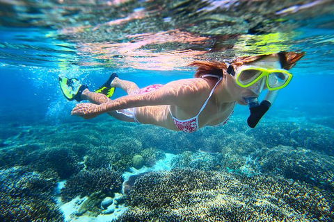 Abrolhos Islands Scenic Flight & Snorkel Adventure From Perth - New South Wales Tourism  1